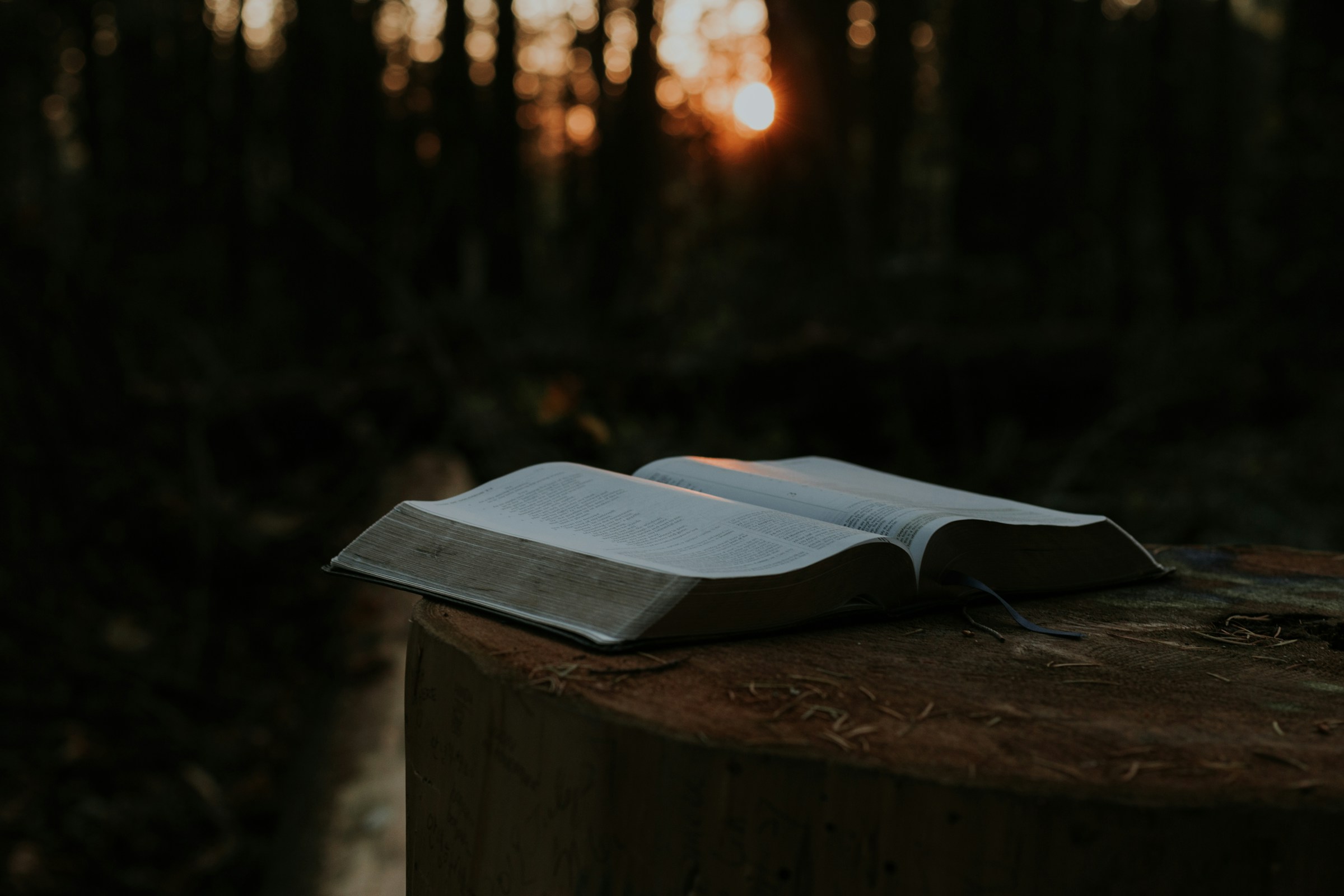 The Balanced Word – July 14th