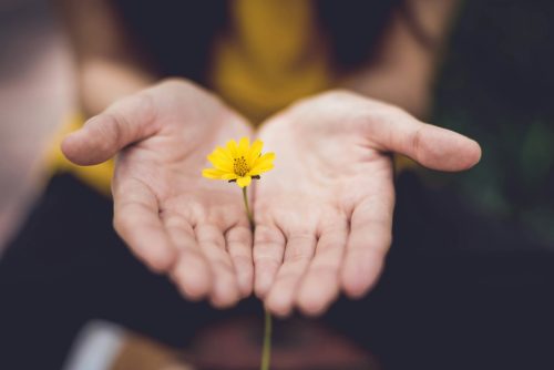 Understanding the Spiritual Gifts