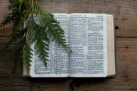 The Canonical Word – July 13th