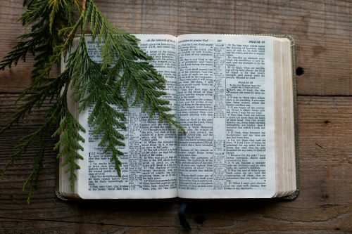 The Balanced Word – July 14th