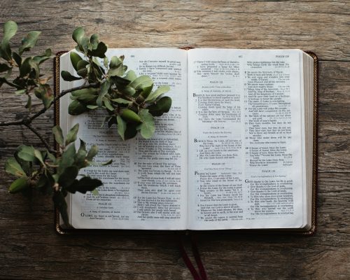 The Chronological Word – July 14th