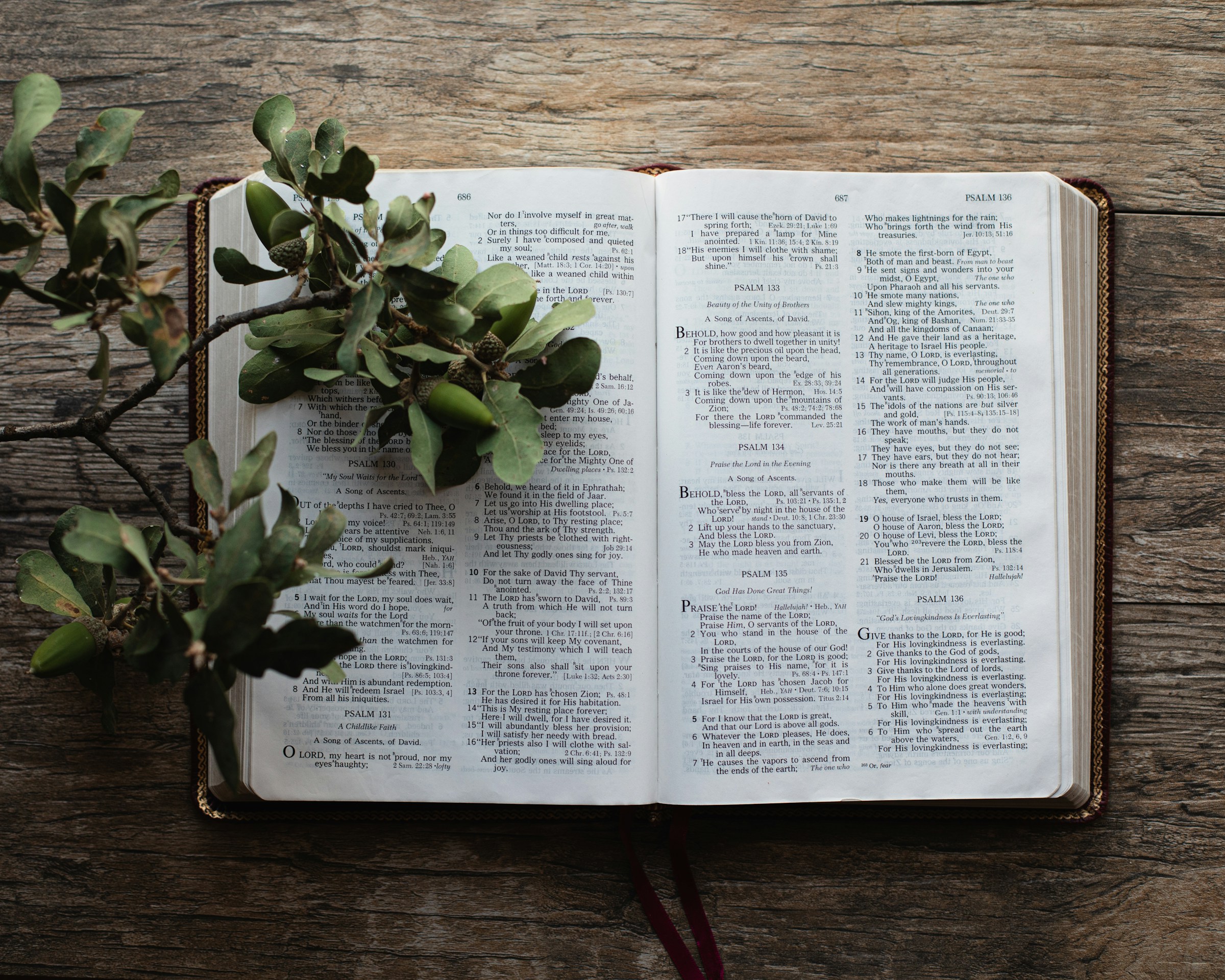 The Chronological Word – July 14th