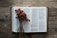 The Canonical Word – July 13th