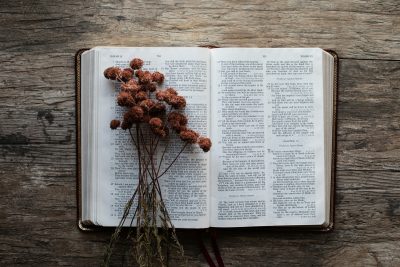 The Canonical Word – July 14th