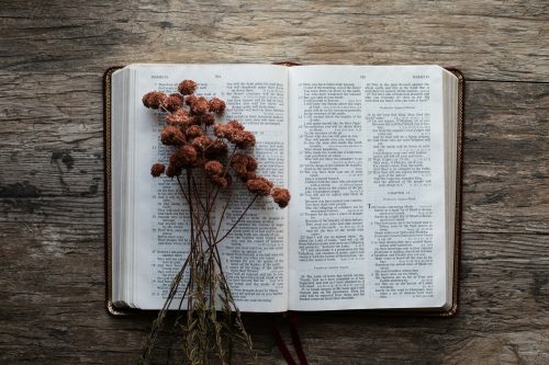 The Canonical Word – July 14th